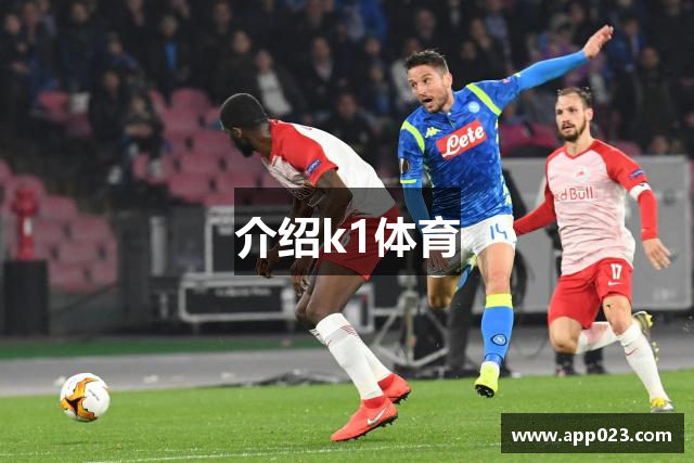介绍k1体育